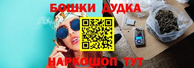 PSILOCYBIN Кулебаки