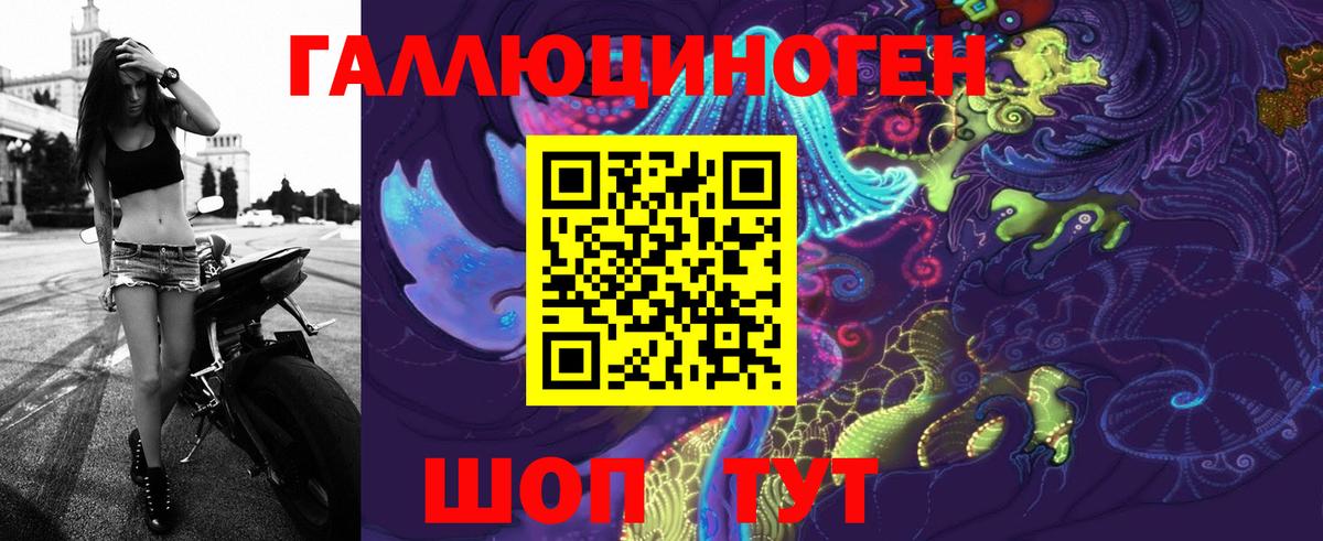 Псилоцибиновые грибы Cubensis Ухта